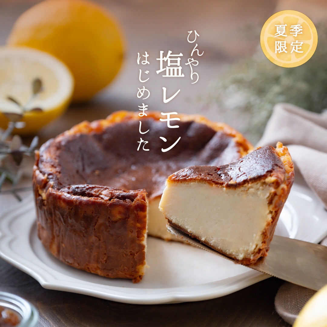 夏季限定！塩レモンのとっておきチーズケーキ